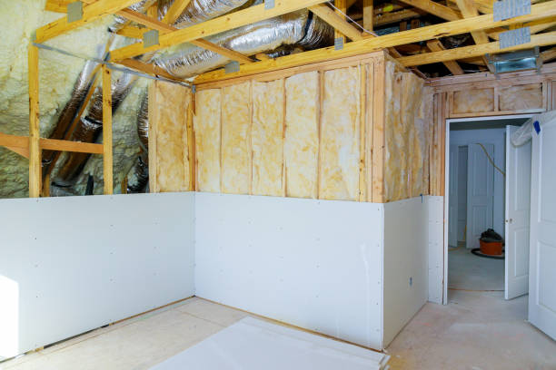 Best Professional Insulation Contractor  in Pimmit Hills, VA