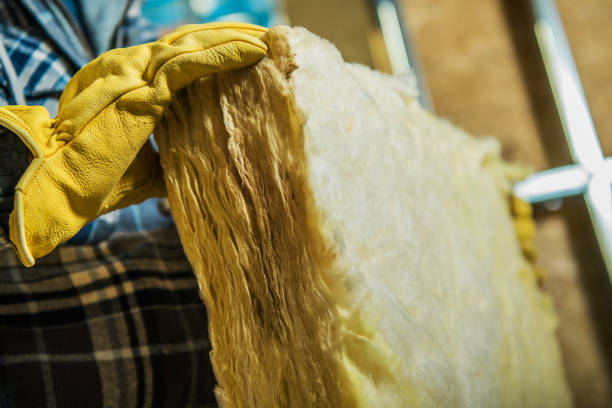 Best Spray Foam Insulation  in Pimmit Hills, VA