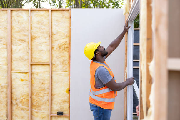 Best Insulation Removal  in Pimmit Hills, VA