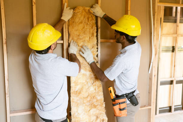 Best Cellulose Insulation  in Pimmit Hills, VA