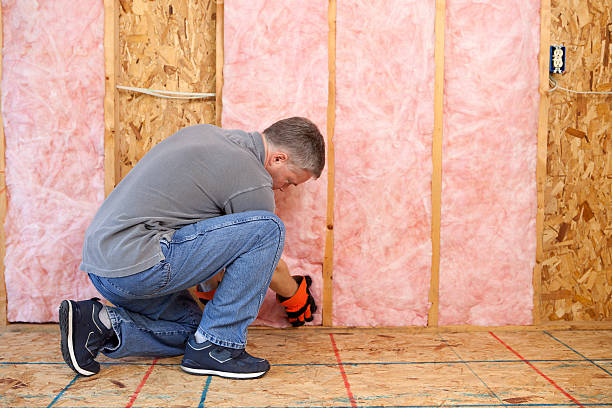Best Insulation Repair Services  in Pimmit Hills, VA