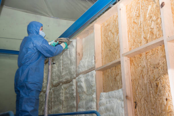 Best Spray Foam Insulation  in Pimmit Hills, VA